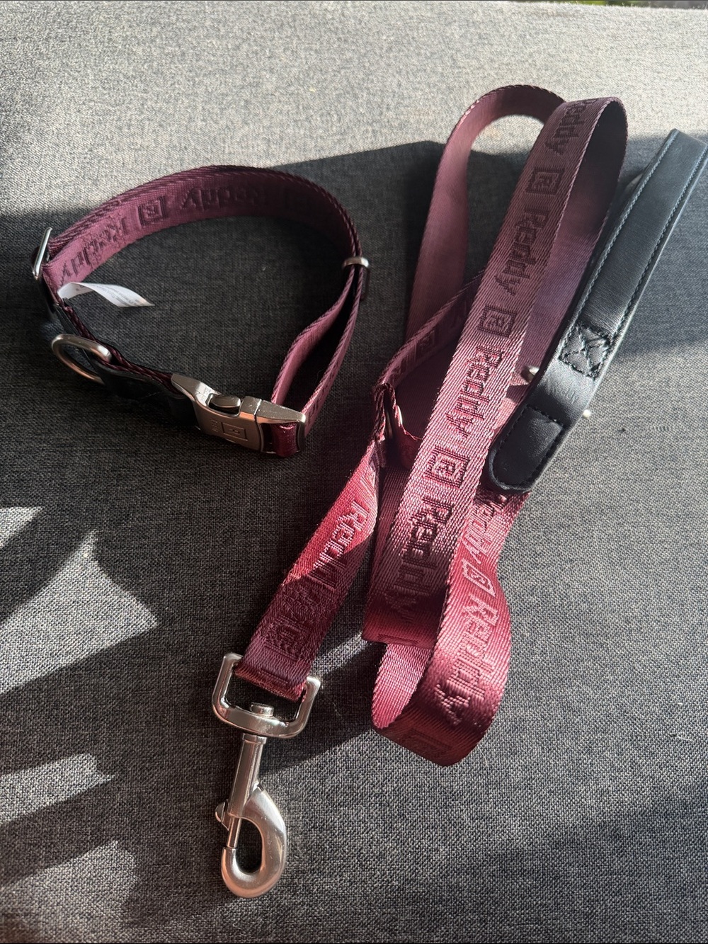Reddy Burgundy Pet Leash and Collar Set